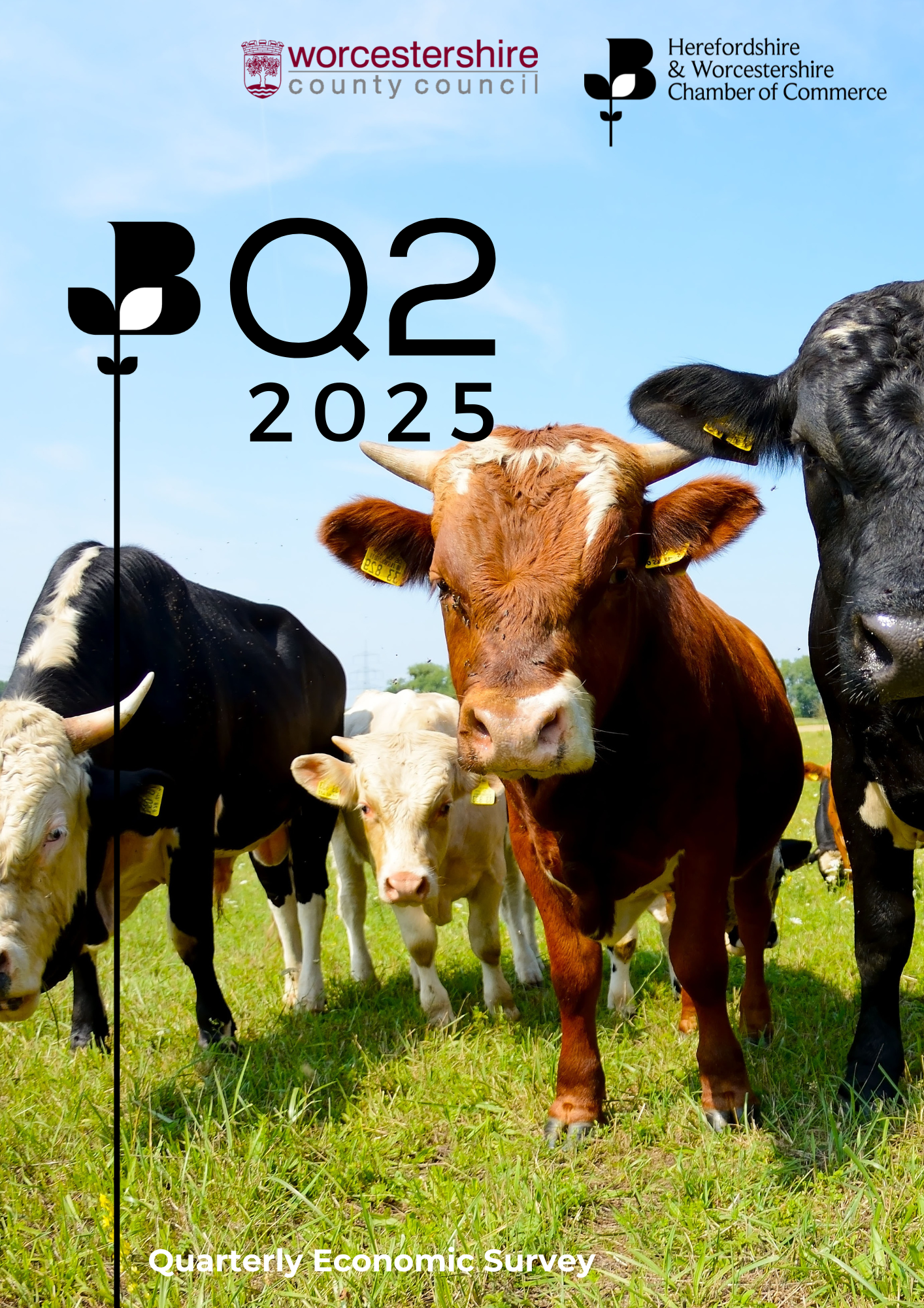 Q2 2025 Report Local economy